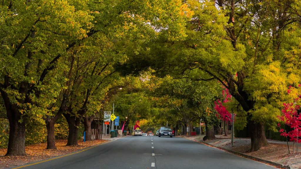 visit hahndorf this valentine's day